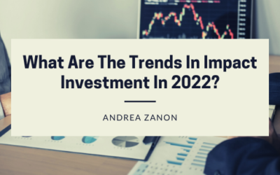 What Are The Trends In Impact Investment In 2022?