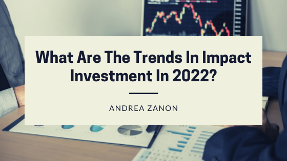 Andrea Zanon Investment Trends
