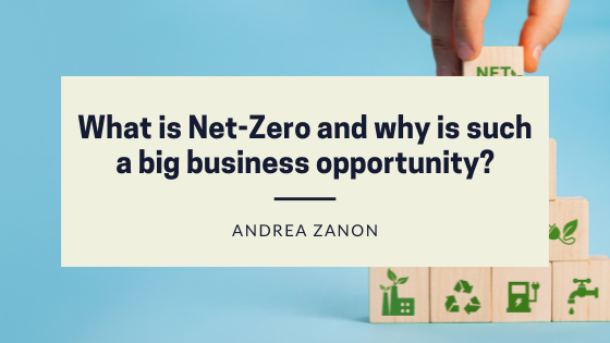 What is Net-Zero and why is such a big business opportunity?