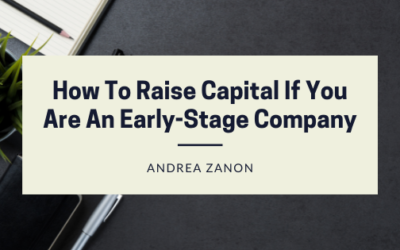 How To Raise Capital If You Are An Early-Stage Company